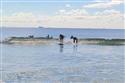 DSC_0110(4)-4