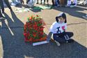 DSC_0321(3)-15