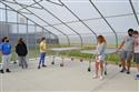 DSC_0346(3)-4