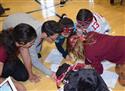 DSC_0844(2)-13