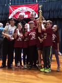 ELEM3-2