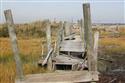 IMG_0001(5)-8
